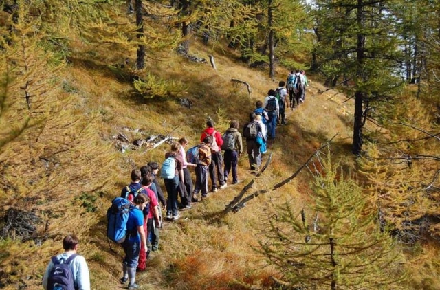 Excursiones grupales 